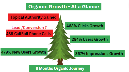 Local SEO Organic Growth Journey